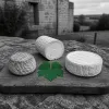 Fromages de chèvre du Val de Loire : le triangle AOP entre Touraine, Berry et Poitou