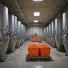 Vouvray sans filtre : sept vignerons qui reçoivent vraiment (et pourquoi les autres ne comptent pas)