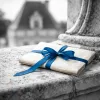 Valençay, le château que Talleyrand a transformé en leçon de diplomatie : visite au-delà du fromage
