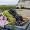 La maison des vins de Cheverny, porte d’entrée élégante des vignobles du Val de Loire