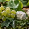 Voyage gourmand au cœur du salon de la gastronomie et des vins à Orléans